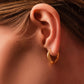Sculpted Hoop Earrings