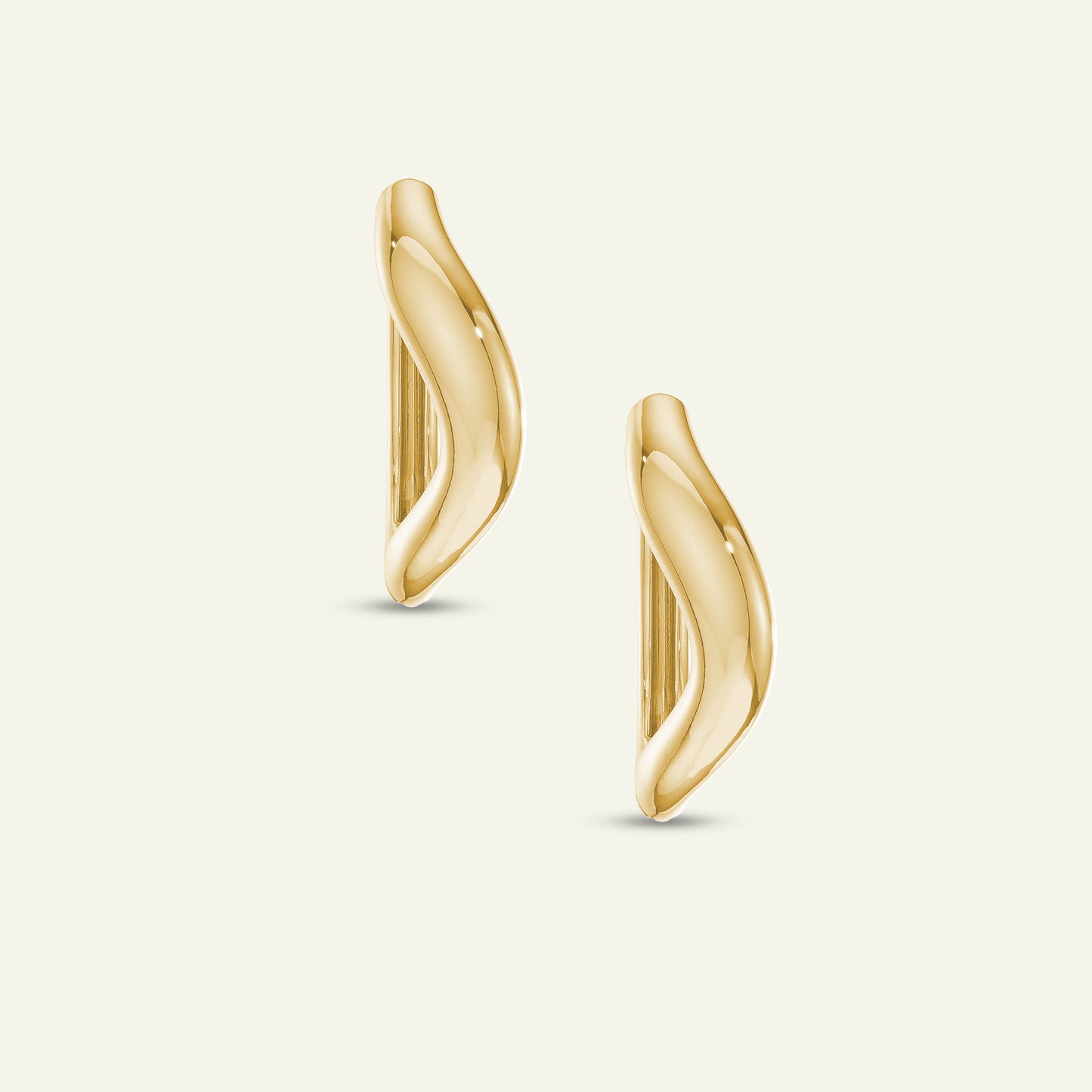 Sculpted Hoop Earrings