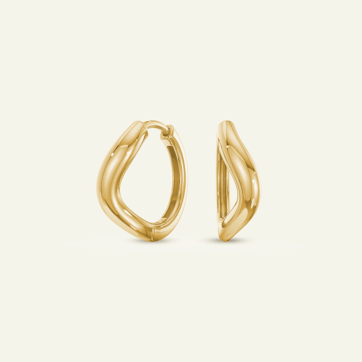Sculpted Hoop Earrings